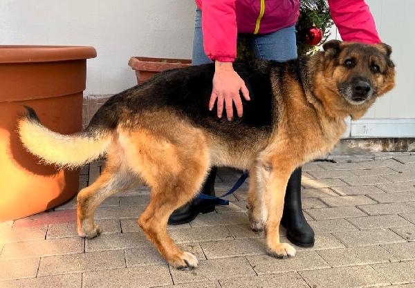 FEDERICA PASTORE TEDESCO Foto 8